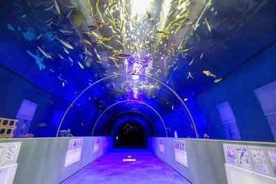 🐠 구지 지하수족과학관 모구란피아 이미지 2